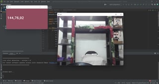 Live color detection thumbnail