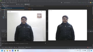 Live image background remover