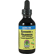 Echinacea Goldenseal Alcohol Free Extract - 
