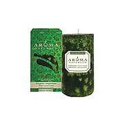 Candle Hol Evgrn 2.75in x 5in - 