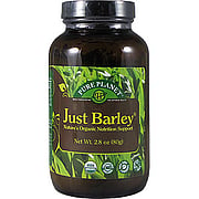 Organic Just Barley Powder - 