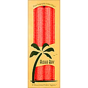 Coral Red Palm Taper 9'' Unscented - 