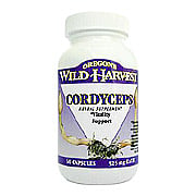Cordyceps - 