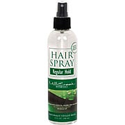 Regular Hold Hair Spray - 