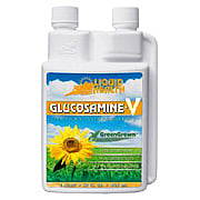 Glucosamine V - 