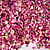 Rose Petals with Some Buds Pink -