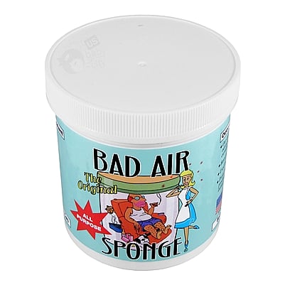 PMWholeSale - Bad Air Sponge - Odor Neutralants1 pc, (Bad Air Sponge)