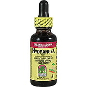 Hydrangea Root Extract - 