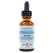 Astragalus Root Alcohol Free - 
