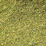 Dill Weed Egyptian Cut & Sifted -