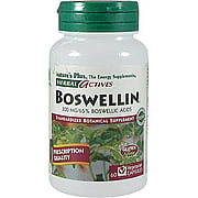 Herbal Actives Boswellin 300 mg - 