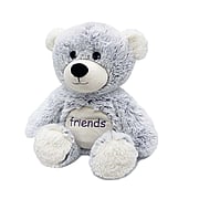 13" Friends Bear - 