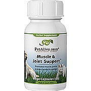 Muscle & Joint Support - 