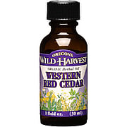Western Red Cedar Oil Organic - 