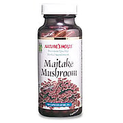 Maitake Mushroom - 