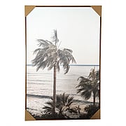 The scenery shines on coconut trees-decorative painting