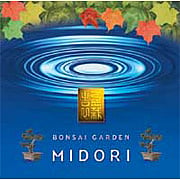 Compact Disc Relaxation Bonsai Garden - 