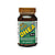 99% Pure DHEA 50 mg - 