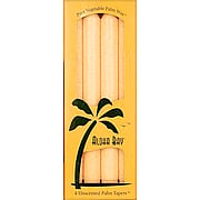 Ivory Palm Taper 9'' Unscented - 