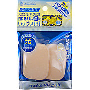 Ishihara Hikari Shokubai HS-3815 Sponge Puff Light Catalyst Rectangular - 