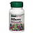 Herbal Actives Bilberry 50 mg - 