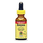 Burdock Root Extract - 