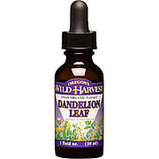 Dandelion Leaf Extracts Organic - 