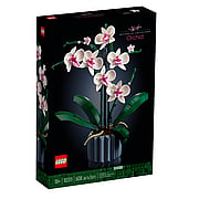 Botanical Collection Orchid Item # 10311 - 
