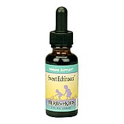 Sweet Echinacea Alcohol Free - 