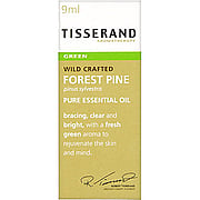 Pine Essential Oil - 