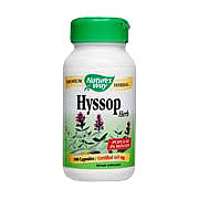 Hyssop - 