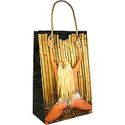 Girl Tied To Fence with Rope Novelty Gift Bag - 