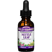 Nettle Leaf Extracts - 