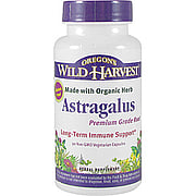 Organic Astragalus - 