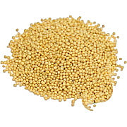 Mustard Seeds Yellow - 