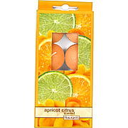 Apricot Citrus Candle - 