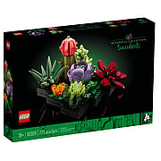 Botanical Collection Succulents Item # 10309 - 