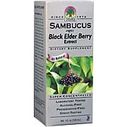 Sambucus - 