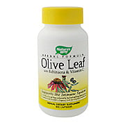 Olive Leaf With Echinacea & Vitamin C - 