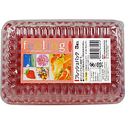 Daiwa Feeling Plastic Lunch Box Fresh Pack - 