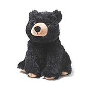 Black Bear - 
