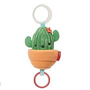 Farmstand Jitter Cactus - 