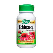 Echinacea Herb BOGO - 