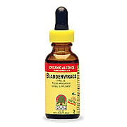 Bladderwrack Extract - 