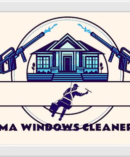 Windows cleaner