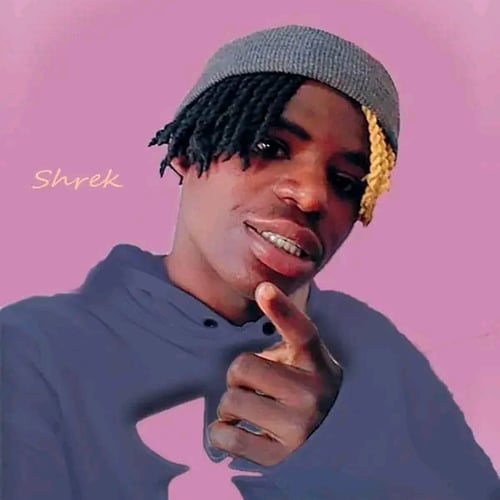 Shrek - Malawi artist on MalawiSongs