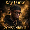 ZONSE NDINU by Kay D mw