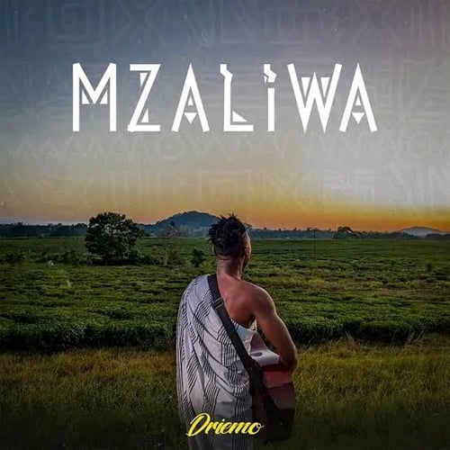 Driemo - Loyalty (Official Audio) by Driemo - MalawiSongs