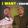 Vasmo Diz ft illustrate I Want To Know