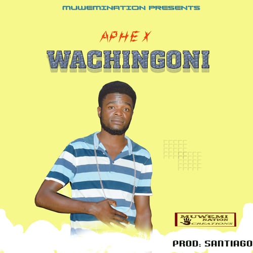 Aphex -Wachingoni [Prod.By Dada Santiago] by Aphex MN - MalawiSongs